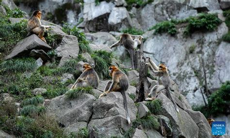 玉合公園裡的四季風景如何